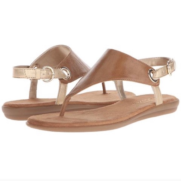 in conchlusion sandal
